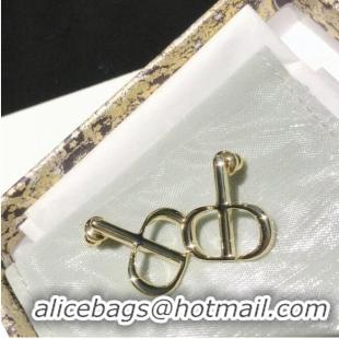 Famous Brand Dior Earrings CE6090