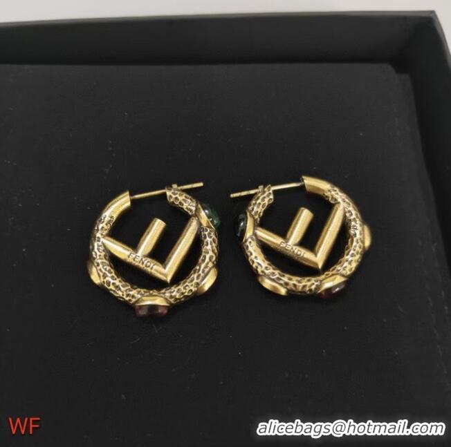 Popular Style Fendi Earrings CE5838