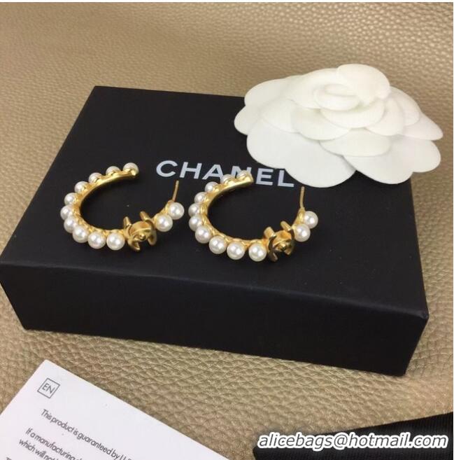 Luxury Discount Chanel Earrings CE6183