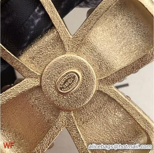 Famous Brand Chanel Brooch CE6187