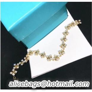 Famous Brand TIFFANY Bracelet CE6056