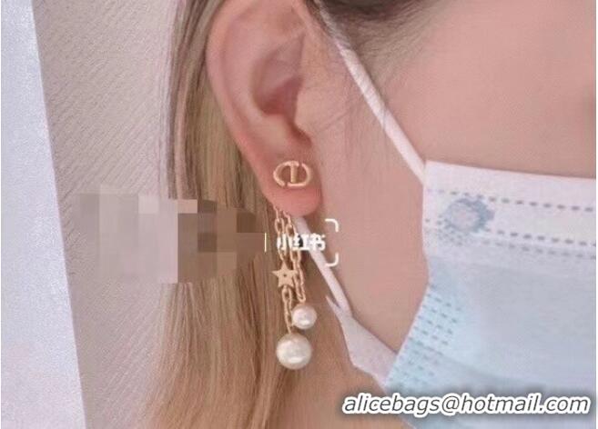 Unique Style Dior Earrings CE5882