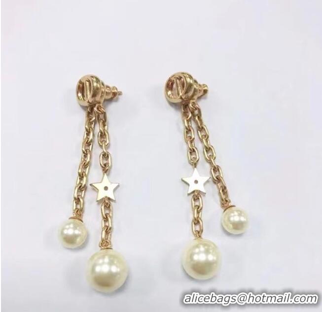 Unique Style Dior Earrings CE5882