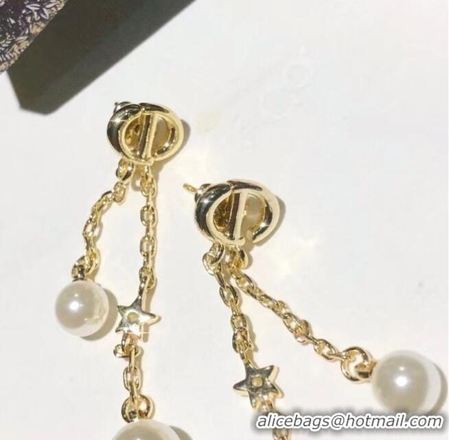 Unique Style Dior Earrings CE5882