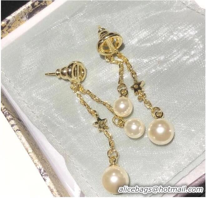 Unique Style Dior Earrings CE5882