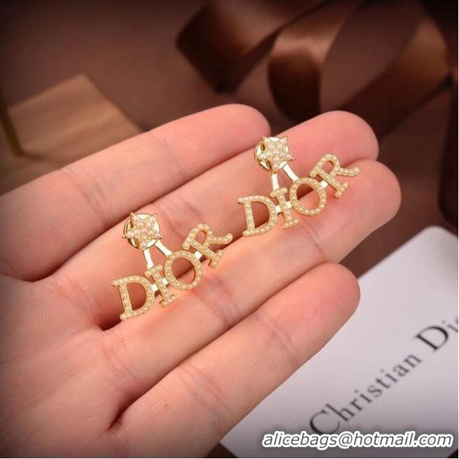 Unique Grade Dior Earrings CE6040