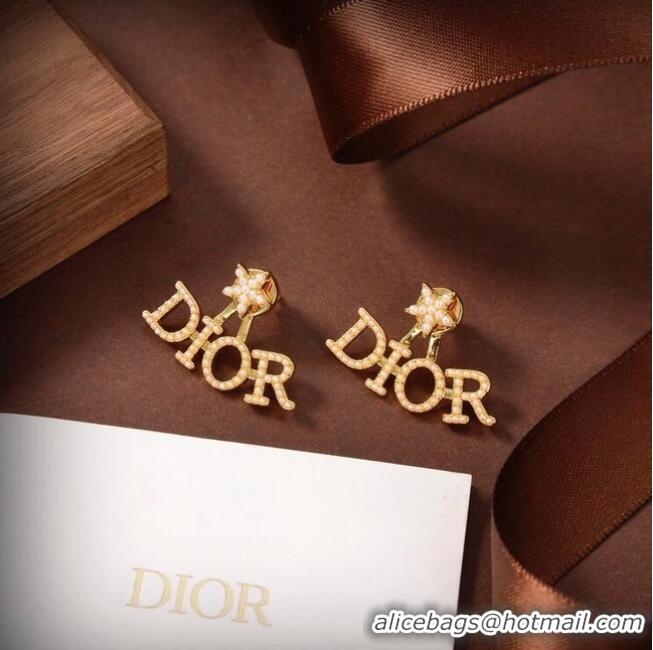 Unique Grade Dior Earrings CE6040