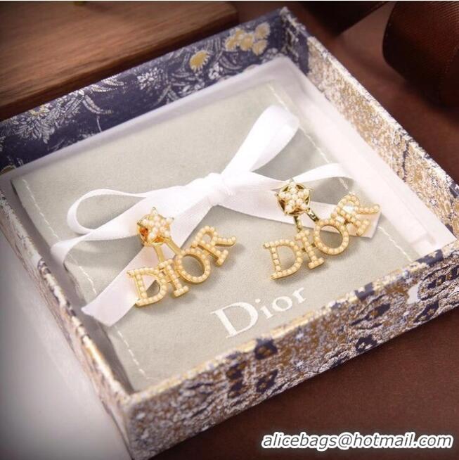 Unique Grade Dior Earrings CE6040