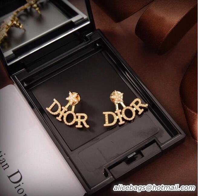 Unique Grade Dior Earrings CE6040