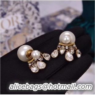 Top Grade Discount Dior Earrings CE6042