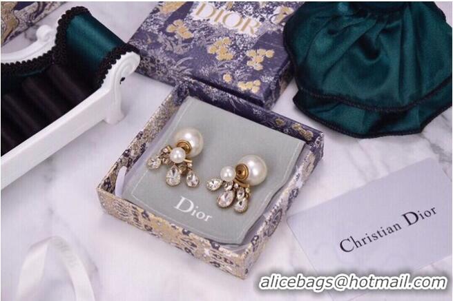 Top Grade Discount Dior Earrings CE6042