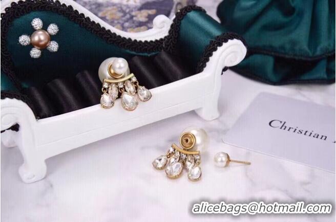 Top Grade Discount Dior Earrings CE6042