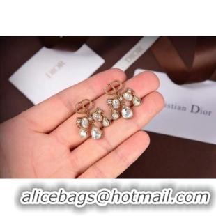 Good Looking Dior Earrings CE6045