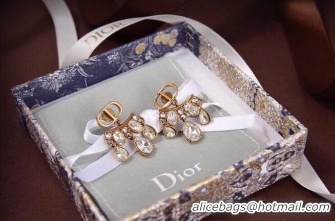 Good Looking Dior Earrings CE6045