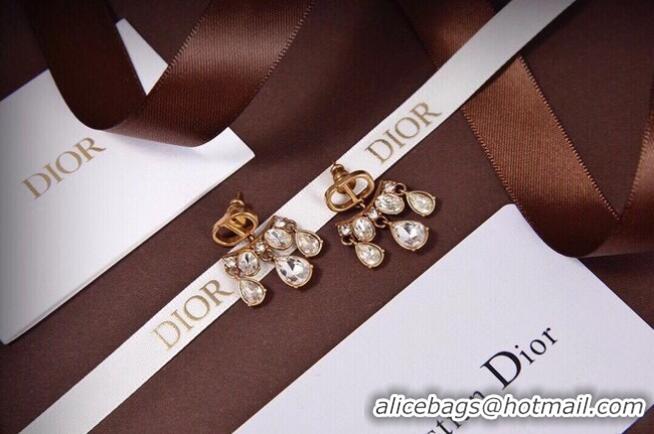 Good Looking Dior Earrings CE6045