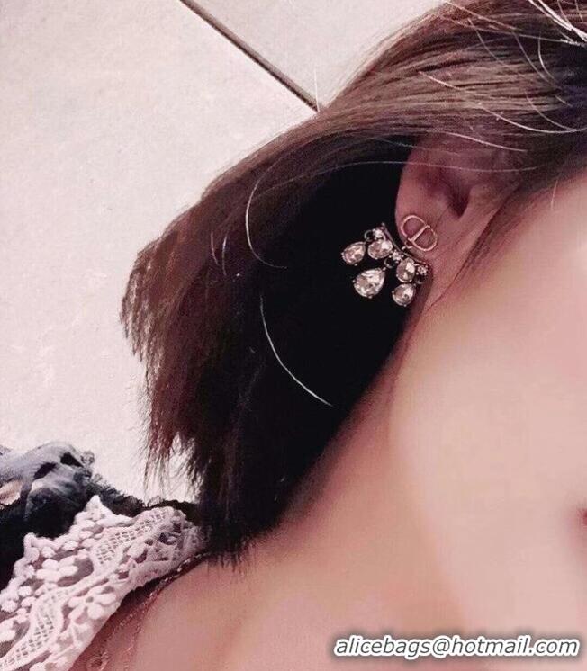 Good Looking Dior Earrings CE6045