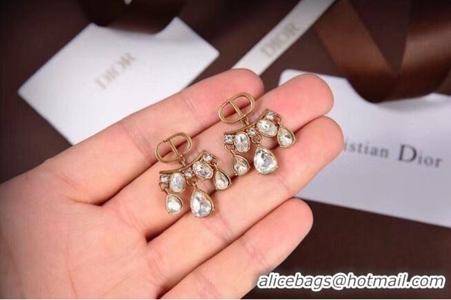 Good Looking Dior Earrings CE6045