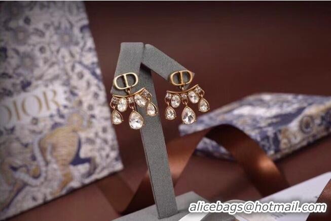 Good Looking Dior Earrings CE6045