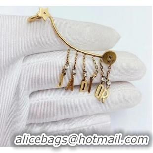 Good Product Dior Earrings CE6066