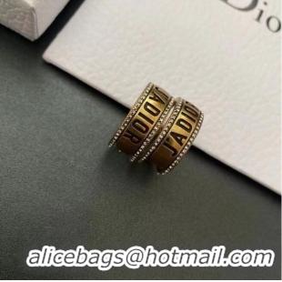 Trendy Design Dior Earrings CE6047