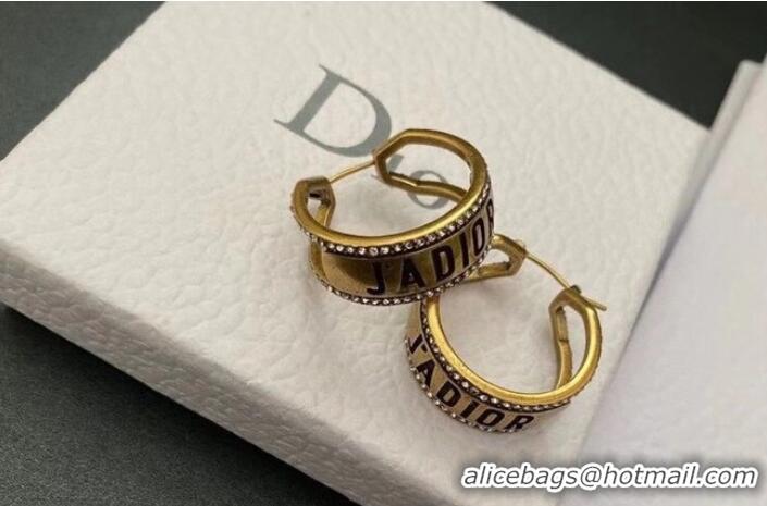 Trendy Design Dior Earrings CE6047