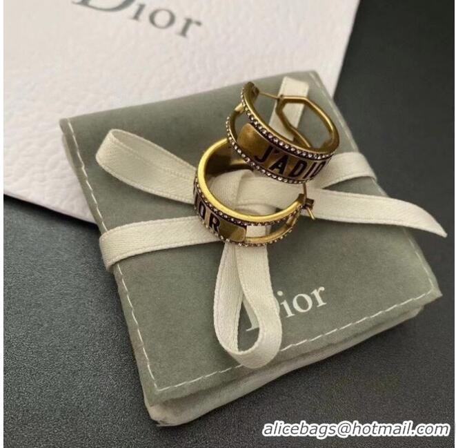 Trendy Design Dior Earrings CE6047