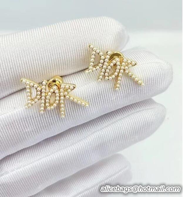 Noble Promotional Dior Earrings CE6049