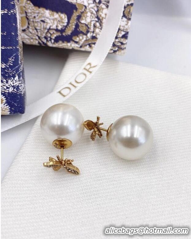 Practical Top Quality Dior Earrings CE6052