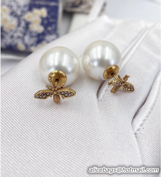 Practical Top Quality Dior Earrings CE6052