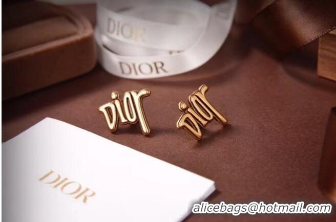 Particularly Recommended Dior Earrings CE6053