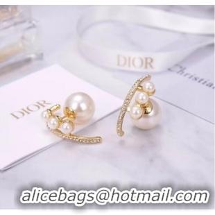 Fashion Luxury Dior Earrings CE6055