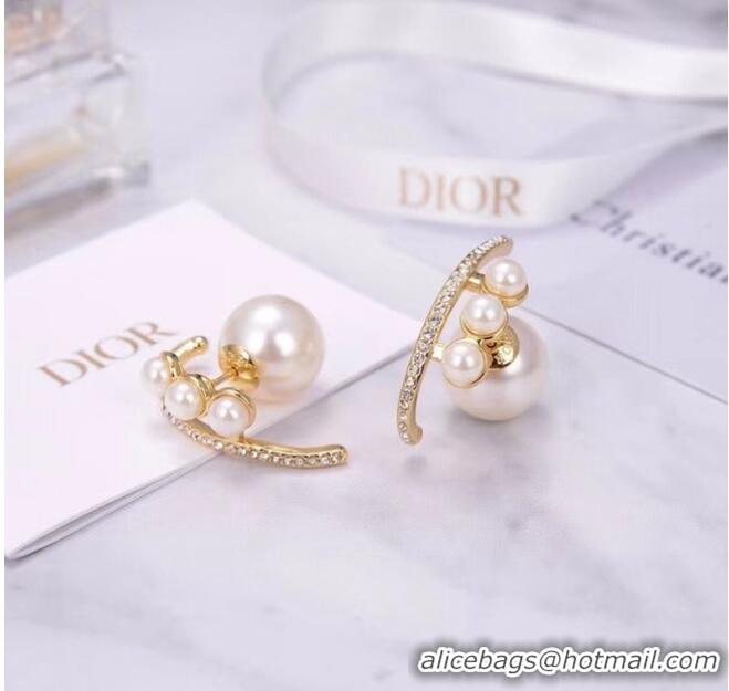 Fashion Luxury Dior Earrings CE6055