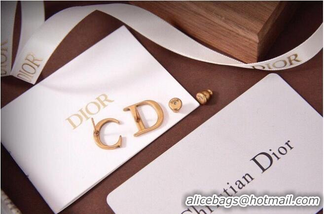 Design Classic Dior Earrings CE6068