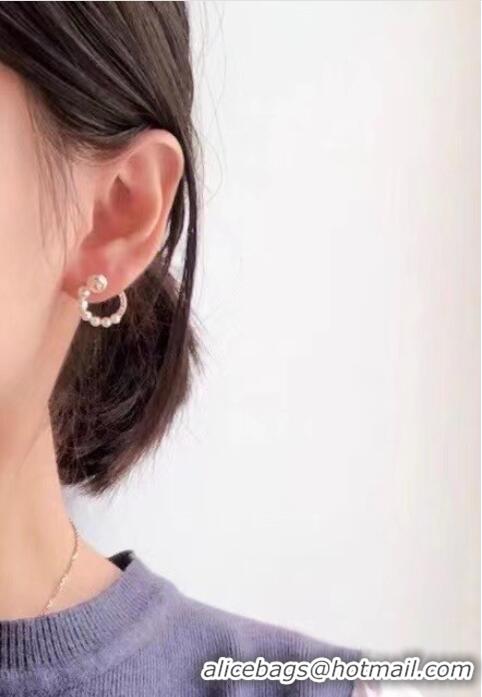 Buy Cheapest Dior Earrings CE6070