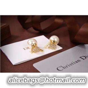 Fashion Cheapest Dior Earrings CE6080