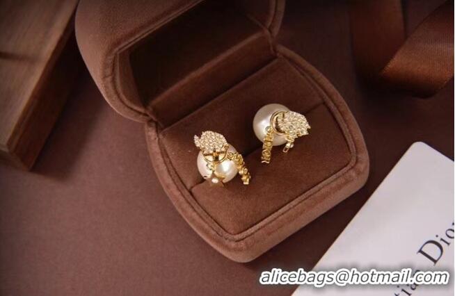 Fashion Cheapest Dior Earrings CE6080