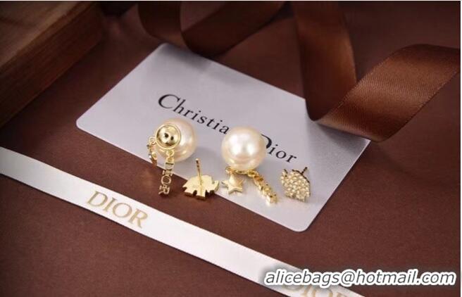 Fashion Cheapest Dior Earrings CE6080