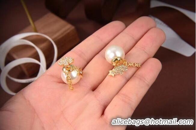 Fashion Cheapest Dior Earrings CE6080