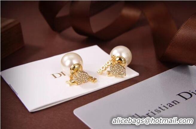 Fashion Cheapest Dior Earrings CE6080