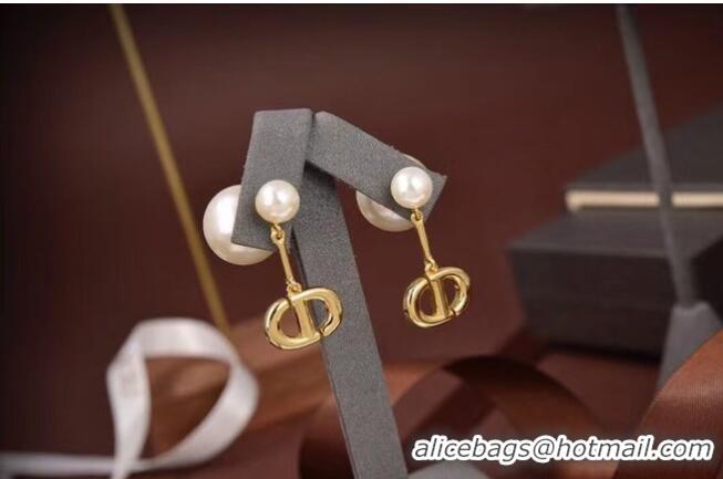 Best Price Popular Dior Earrings CE6085