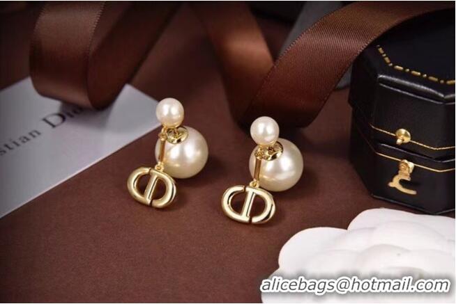 Best Price Popular Dior Earrings CE6085