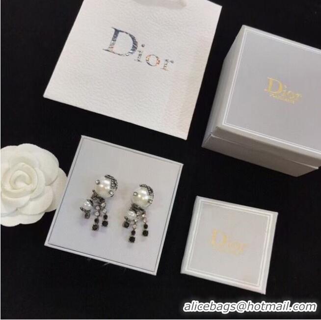 Good Product Low Price Dior Earrings CE6103