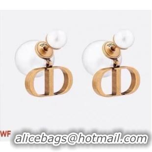 Lower Price Dior Earrings CE6194