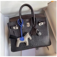 Luxury Discount Hermes Birkin 25CM Tote Bag Original Croco Leather H25TCO Grey