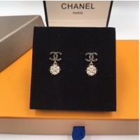 Particularly Recommended Chanel Earrings CE5976