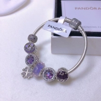 Unique Style Design Pandora Bracelet PD191965