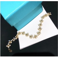 Famous Brand TIFFANY Bracelet CE6056