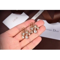 Good Looking Dior Earrings CE6045