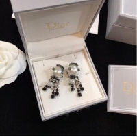 Good Product Low Price Dior Earrings CE6103