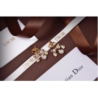 Fashion Inexpensive Dior Earrings CE6132